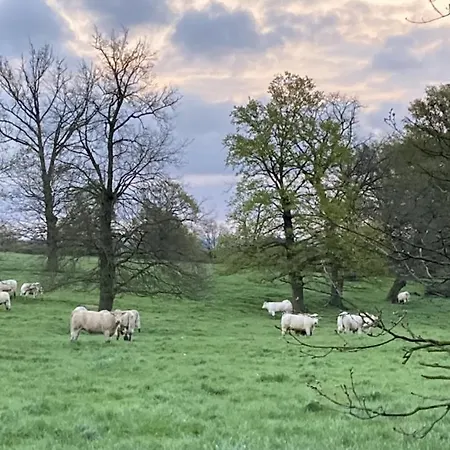 Le Tarde - Crecerelle